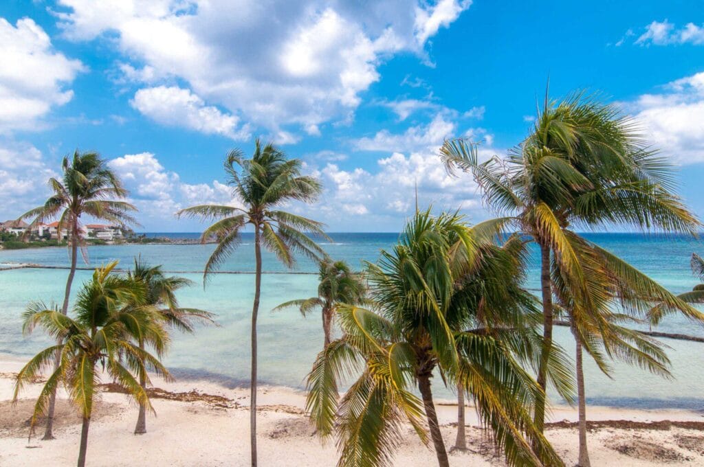 a7twdlv1z80xj9fo2wtv-1536×1020