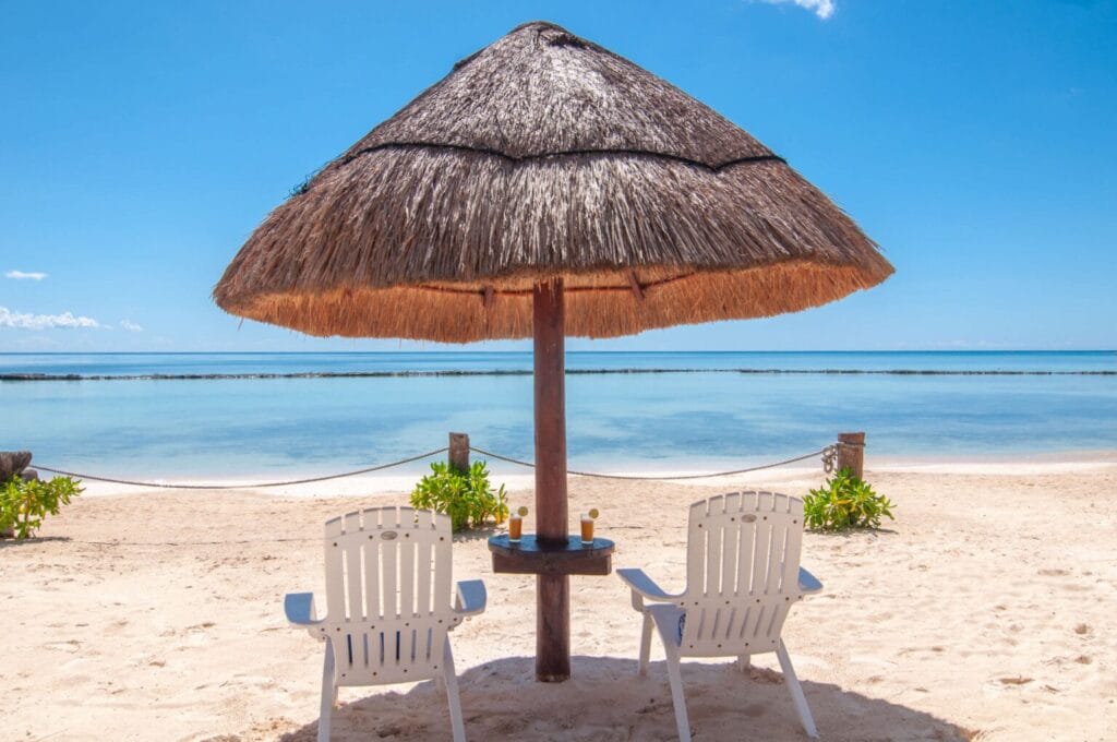 cn5reafggmatu7jlkh4n-1536×1020