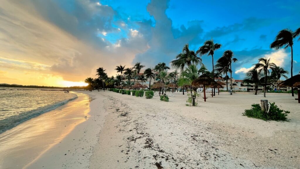 fwrx0cna5b8f4g85nipc-1536×864