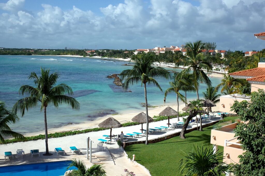 view